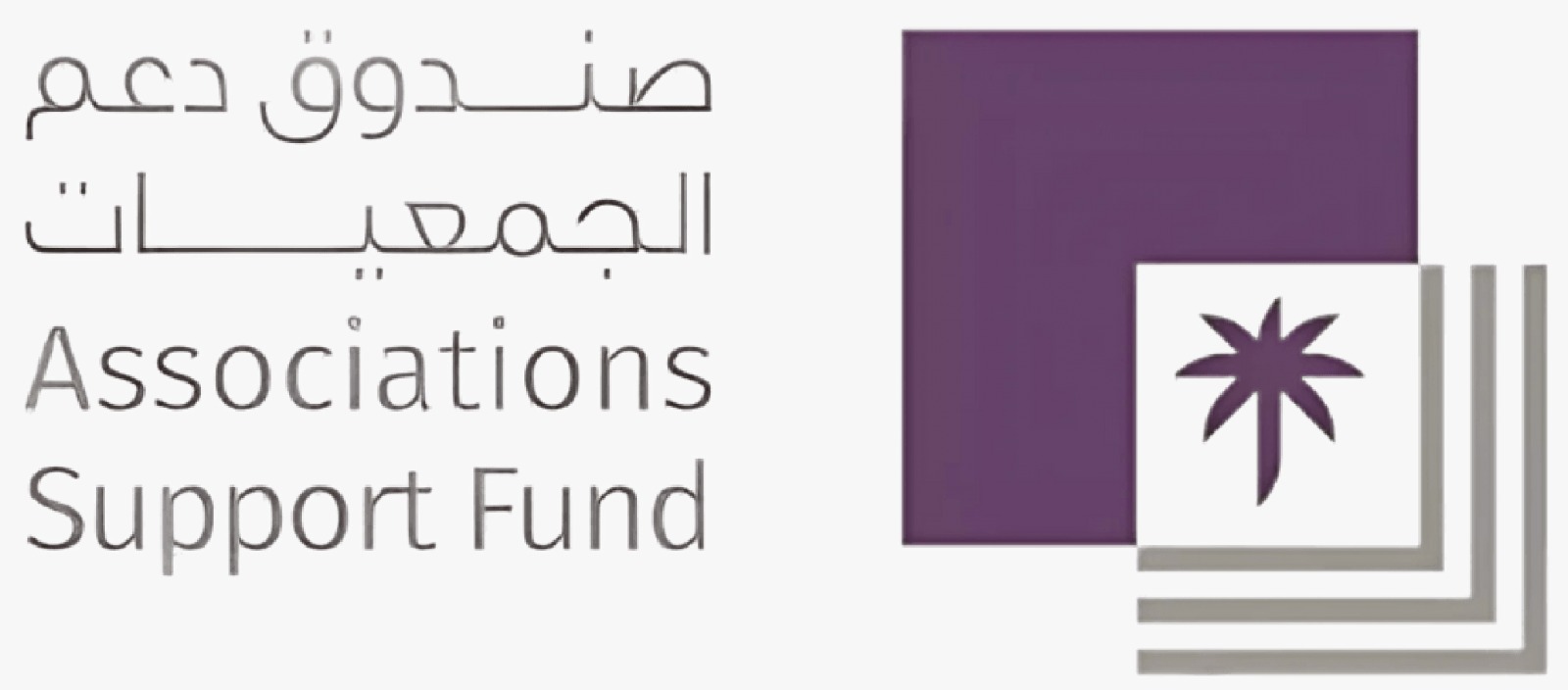 دعم صندوق دعم الجمعيات